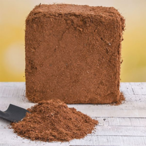 Coco Peat Growing Medium (Premium Organic Soil Conditioner)